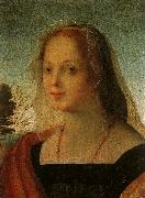 Rosso Fiorentino, Portrait of a Young Woman